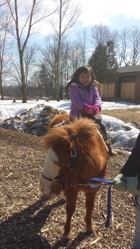 Aly's first pony ride